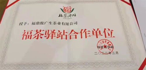 福茶驛站攜手合作企業，借僑優勢揚帆出海，共謀茶業新篇章